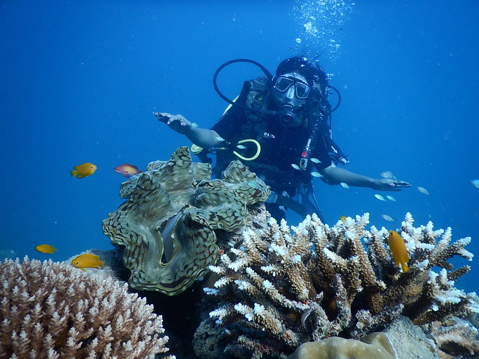 Scuba Diving in Havelock Island Andaman